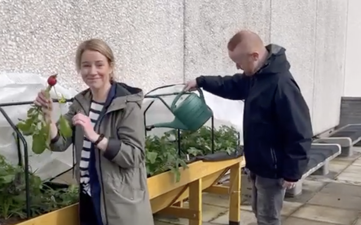 University College Dublin roof garden fosters sense of community